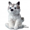 Buy Plush Dog 19 cm. Plush to customize.