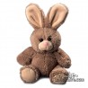 Buy Rabbit Plush 21 cm. Plush to customize.
