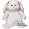 Purchase Hare Plush 25cm. Plush to customize.