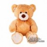 Purchase Bear Plush 33 cm. Plush Advertising Bear to Personalize. Ref: XP-1151