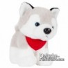 Buy Plush Dog 20 cm. Plush Advertising Dog to Personalize. Ref: XP-1231
