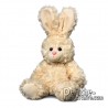 Buy Rabbit Plush 30 cm. Plush to customize.