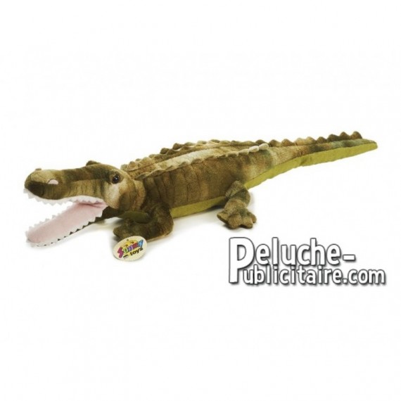 Achat peluche crocodile vert 55cm. Peluche personnalisée.