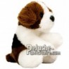 Achat peluche chien beagle marron 10cm. Peluche personnalisée.
