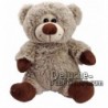 Buy Brown bear plush 30cm. Personalized Plush Toy.