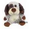 Buy Brown wolf plush 18cm. Personalized Plush Toy.