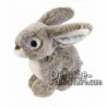 Buy Brown rabbit plush 20cm. Personalized Plush Toy.