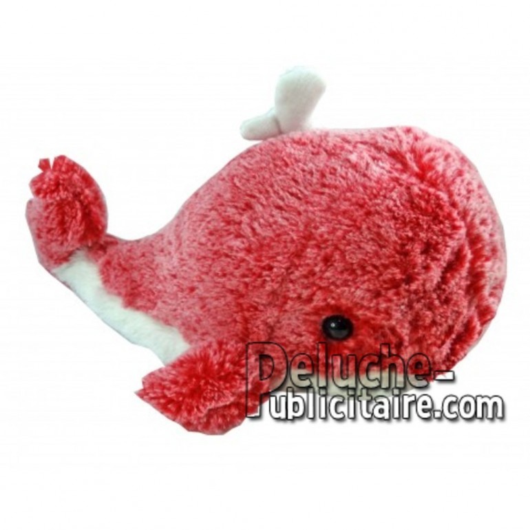 Buy red whale plush cm. Personalized Plush Toy.