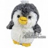 Buy black Penguin plush cm. Personalized Plush Toy.