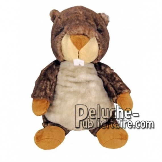 Buy Brown marmot plush 30cm. Personalized Plush Toy.