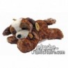Buy Brown st bernard dog lying down plush 29cm. Personalized Plush Toy.