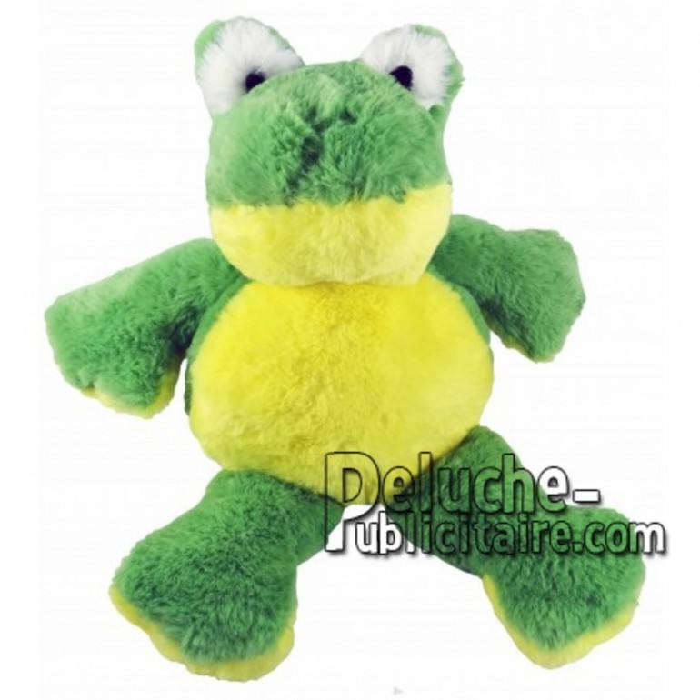 Buy green frog plush 18cm. Personalized Plush Toy.