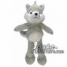 Buy Grey husky dog plush 35cm. Personalized Plush Toy.