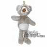 Buy Brown bear plush 35cm. Personalized Plush Toy.
