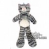 Buy Grey cat plush 35cm. Personalized Plush Toy.