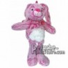 Buy pink rabbit plush 35cm. Personalized Plush Toy.