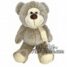 Buy Brown bear plush 55cm. Personalized Plush Toy.