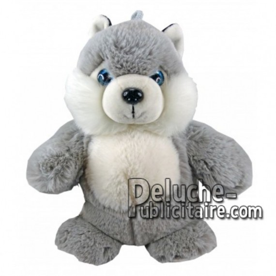 Buy Grey husky dog plush 25cm. Personalized Plush Toy.