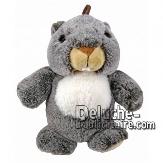 Buy Grey marmot plush 25cm. Personalized Plush Toy.