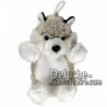 Buy Grey husky dog plush 20cm. Personalized Plush Toy.