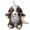 Buy Brown st bernard dog plush 20cm. Personalized Plush Toy.