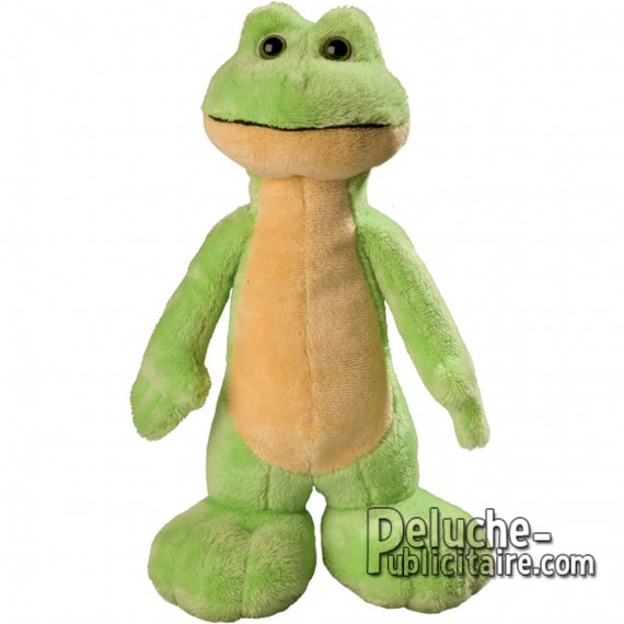 Purchase Frog Plush 25 cm. Plush to customize.