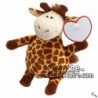 Buy Brown giraffe peluche 22cm. Personalized Plush Toy.
