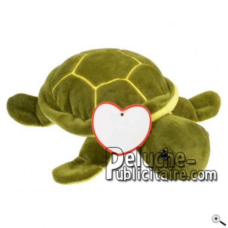 Buy green tortoise peluche 22cm. Personalized Plush Toy.